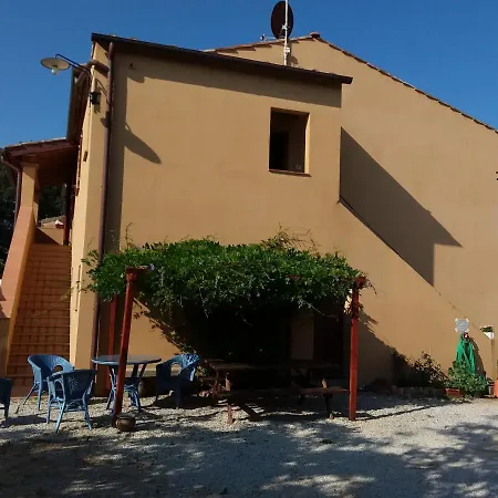 La Gatta E L'olivo - Casa Daria Donoratico