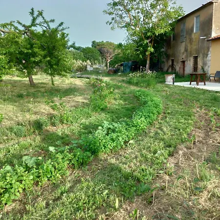 La Gatta E L'olivo - Casa Daria Apartment *