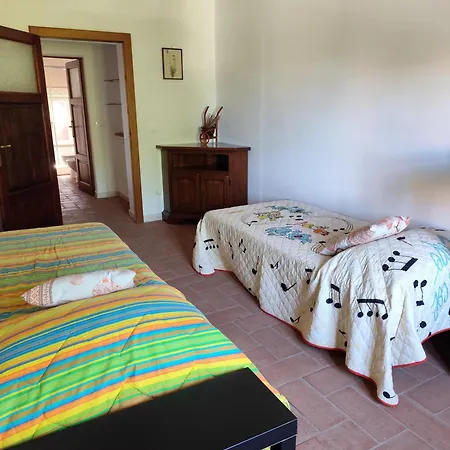 La Gatta E L'olivo - Casa Daria Donoratico