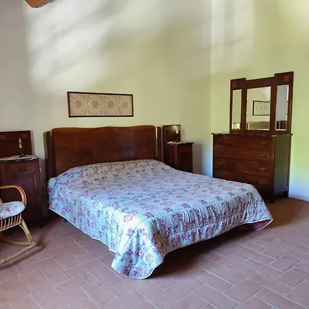 Apartment La Gatta E L'olivo - Casa Daria *