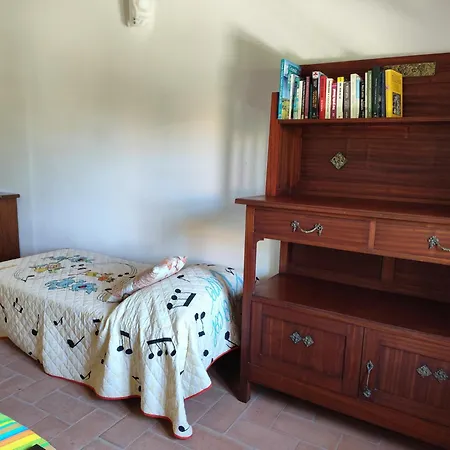 La Gatta E L'olivo - Casa Daria Donoratico