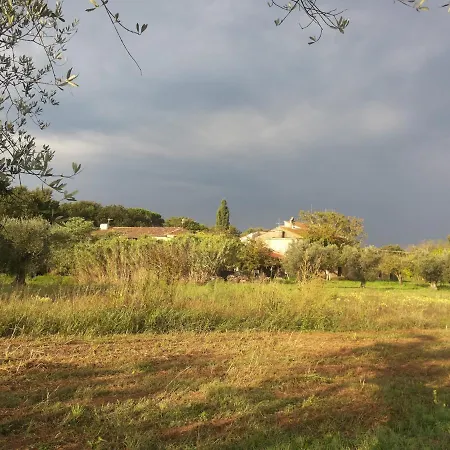 La Gatta E L'olivo - Casa Daria شقة دونوراتيكو